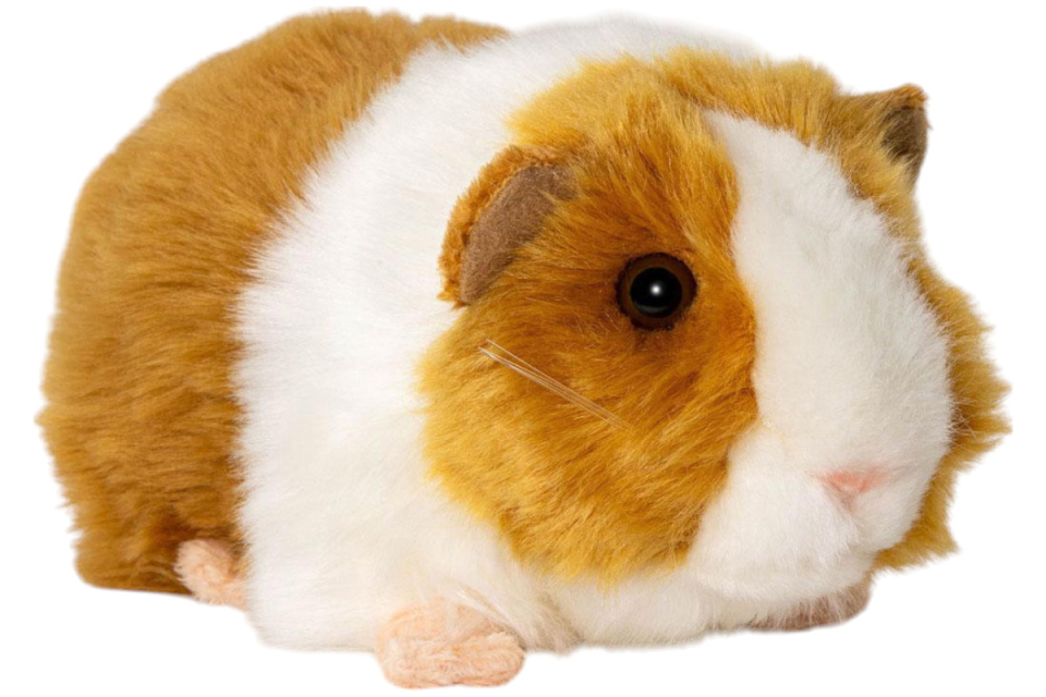 Guinea Pig, Cavy Carl Dick Soft Toy – Plush Toy – Stuffed Animal