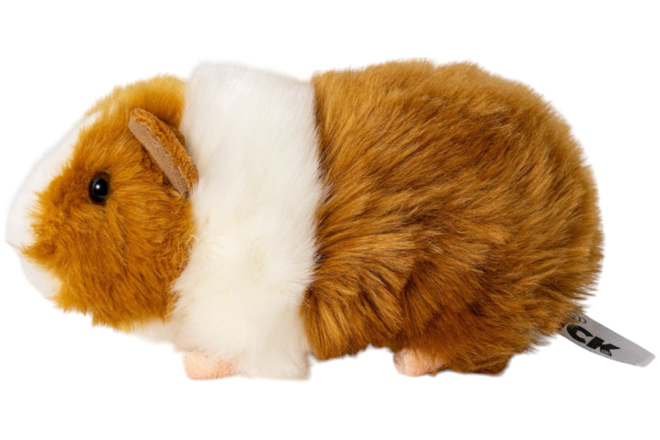 Guinea Pig, Cavy Carl Dick Soft Toy – Plush Toy – Stuffed Animal