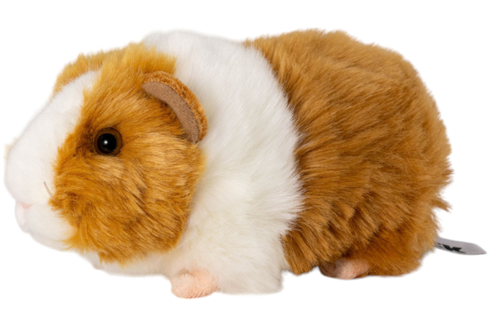 Guinea Pig, Cavy Carl Dick Soft Toy – Plush Toy – Stuffed Animal