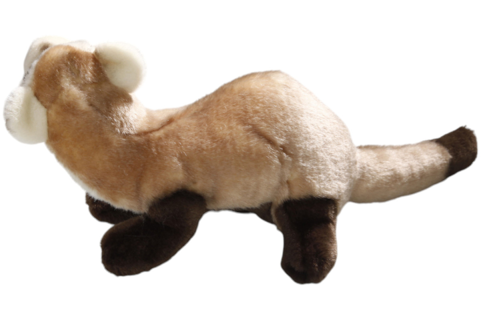 Frettchen Carl Dick Plüschtiere – Kuscheltiere – Stofftiere