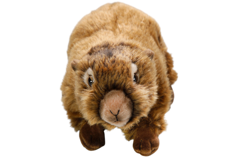Marmot Carl Dick Soft Toy – Plush Toy – Stuffed Animal