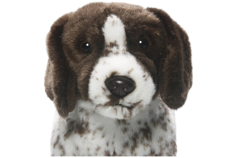 English Pointer, Jagdhund Carl Dick Plüschtiere – Kuscheltiere – Stofftiere