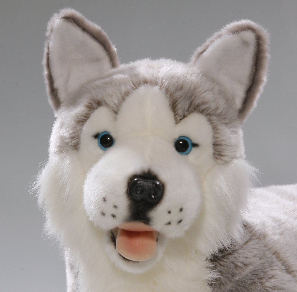 Husky liegend Carl Dick Plüschtiere – Kuscheltiere – Stofftiere