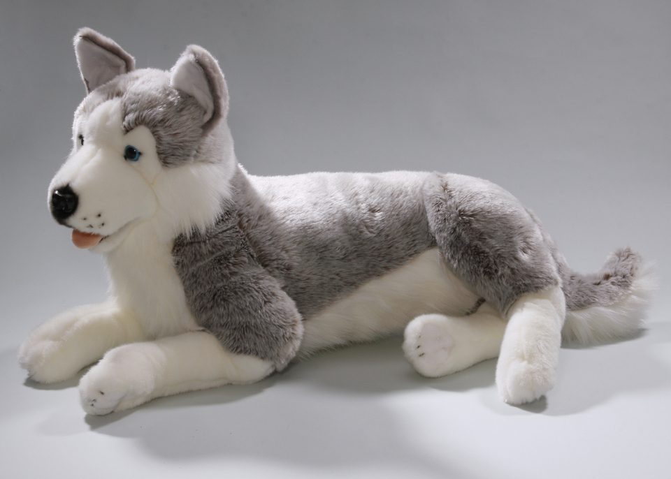 Husky liegend Carl Dick Plüschtiere – Kuscheltiere – Stofftiere