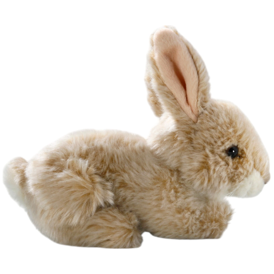 Hase sitzend Hase sitzend