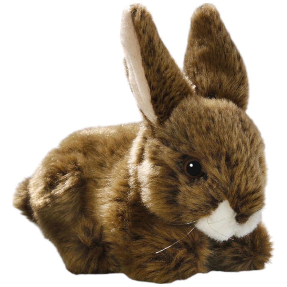Hase sitzend Hase sitzend