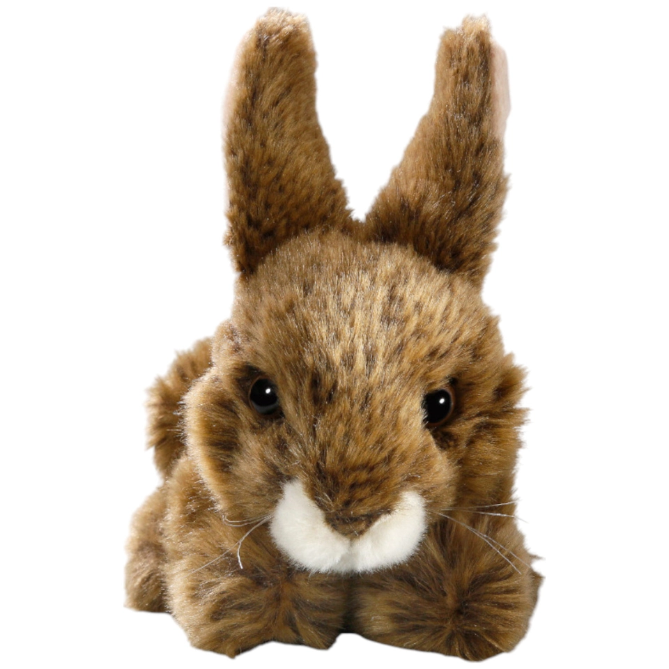 Hase sitzend Hase sitzend