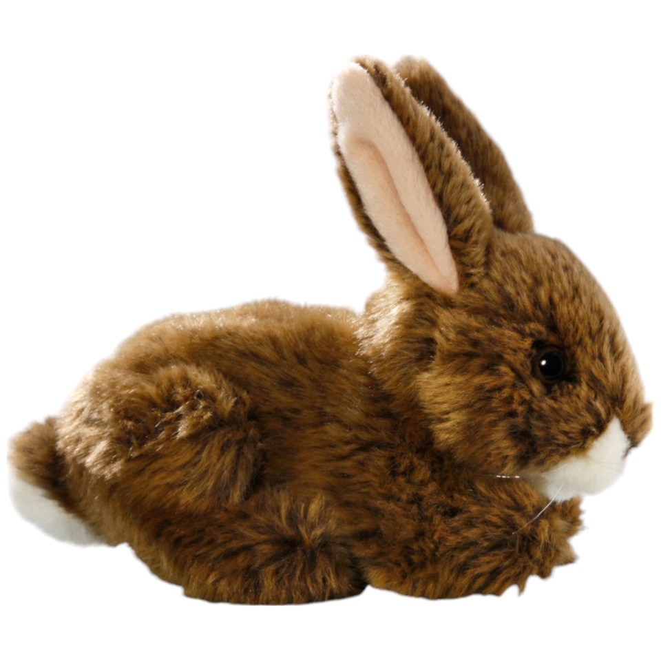 Hase sitzend Hase sitzend