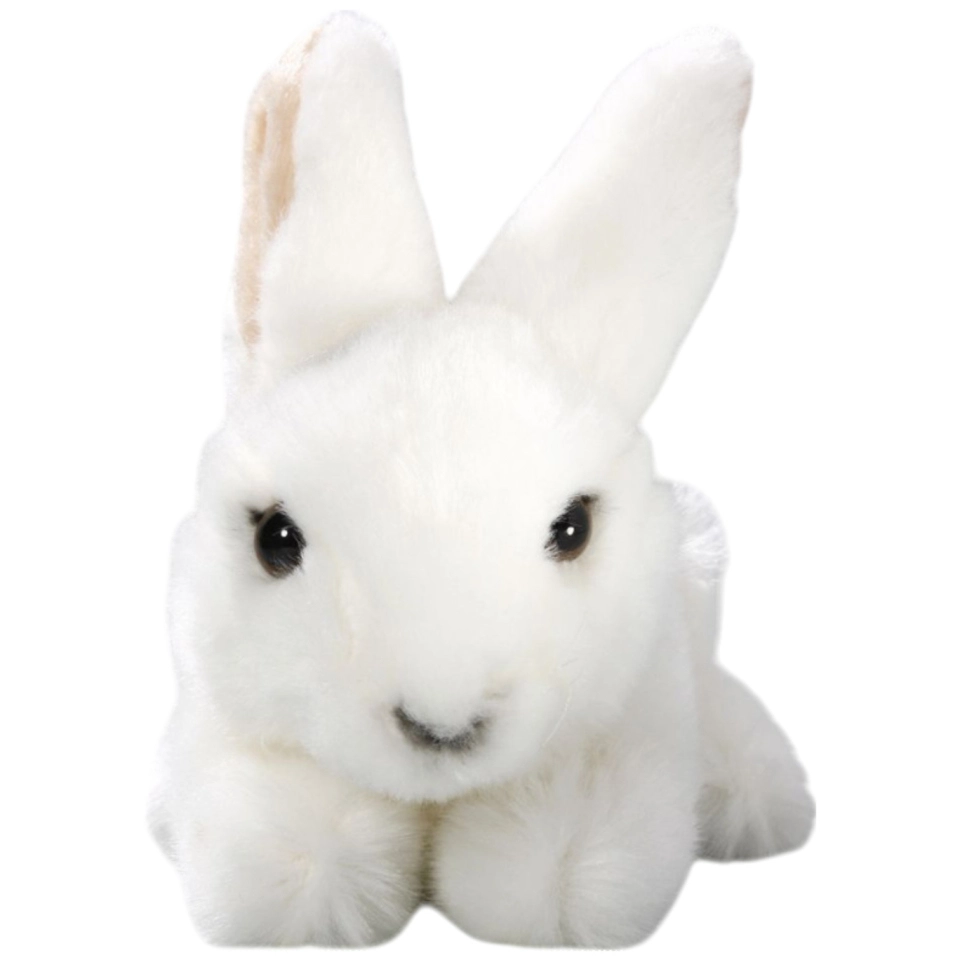 Hase sitzend Hase sitzend