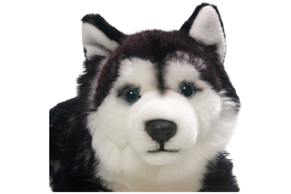 Husky liegend Carl Dick Plüschtiere – Kuscheltiere – Stofftiere