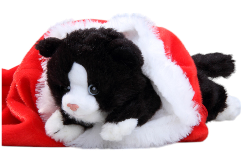 Katze im Weihnachtsstrumpf Carl Dick Plüschtiere – Kuscheltiere – Stofftiere