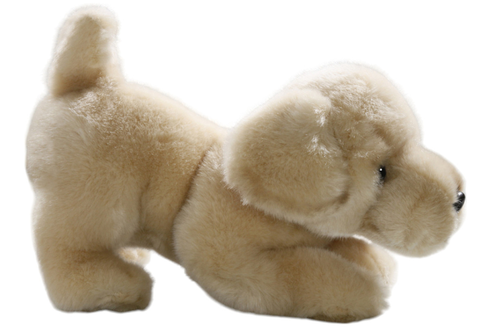 Golden Retriever Welpe Carl Dick Plüschtiere – Kuscheltiere – Stofftiere