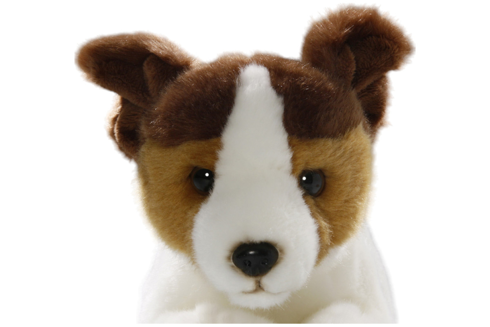 Jack Russel Terrier Floppy Carl Dick Soft Toy – Plush Toy – Stuffed Animal