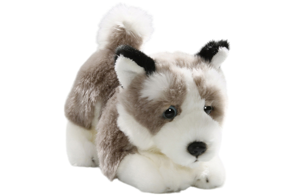 Husky Dog Floppy Carl Dick Soft Toy – Plush Toy – Stuffed Animal