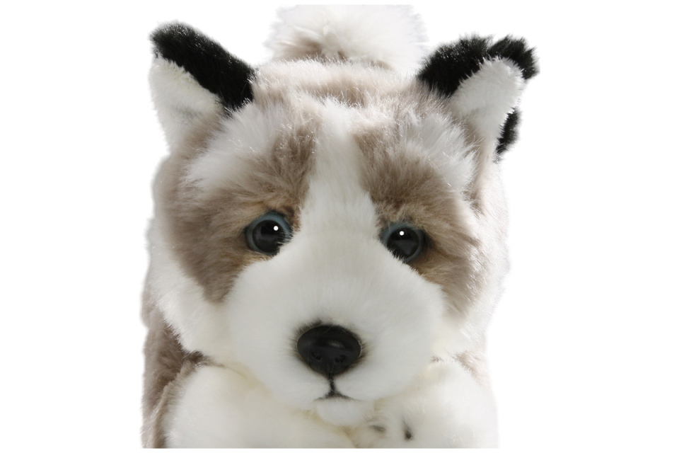 Husky Dog Floppy Carl Dick Soft Toy – Plush Toy – Stuffed Animal
