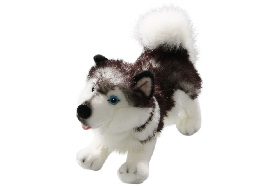 Husky Dog standing Carl Dick Soft Toy – Plush Toy – Stuffed Animal