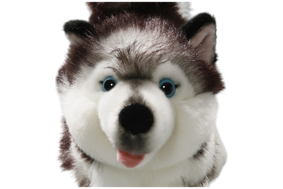 Husky Dog standing Carl Dick Soft Toy – Plush Toy – Stuffed Animal