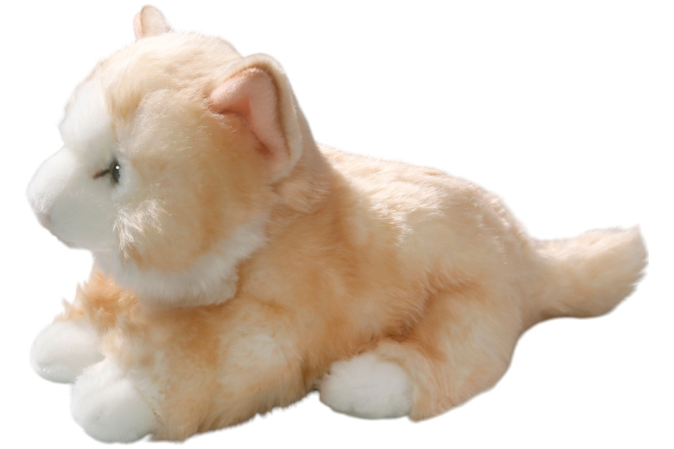 Katzen Carl Dick Plüschtiere – Kuscheltiere – Stofftiere
