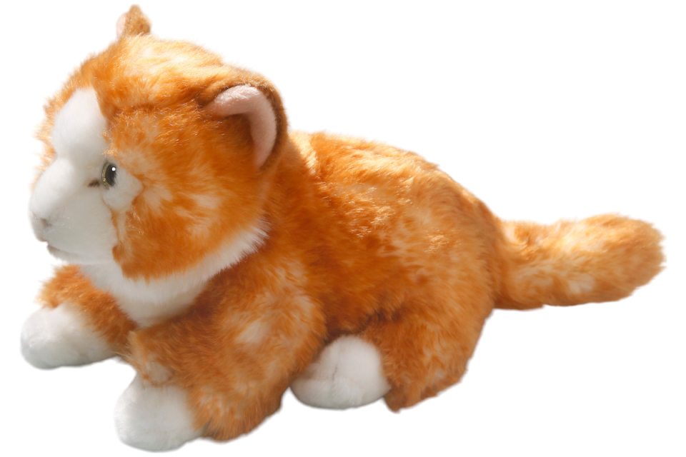 Katzen Carl Dick Plüschtiere – Kuscheltiere – Stofftiere