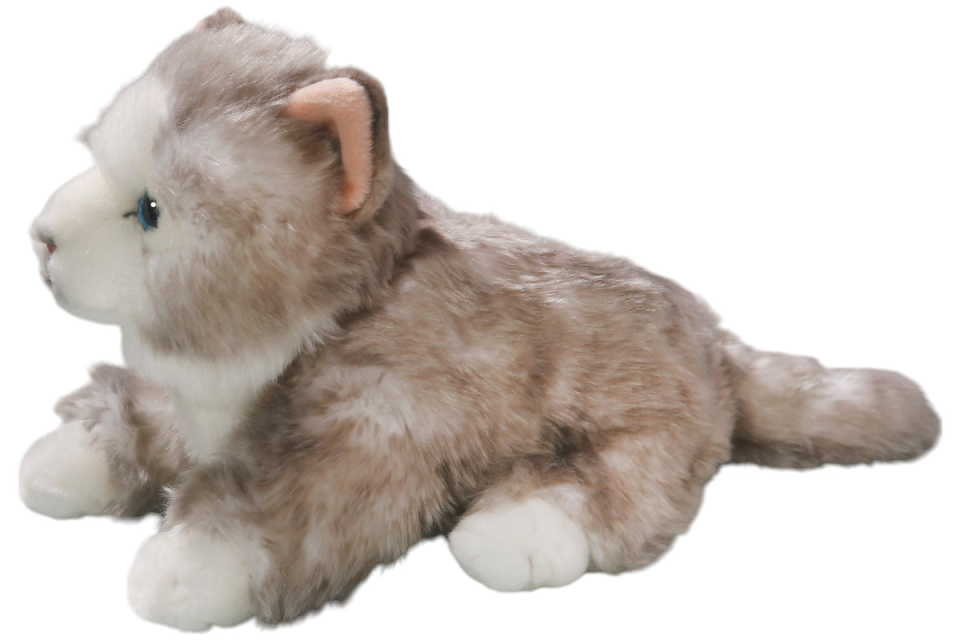 Katzen Carl Dick Plüschtiere – Kuscheltiere – Stofftiere