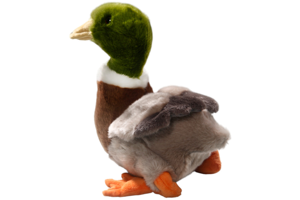 Duck, Mallard Duck Carl Dick Soft Toy – Plush Toy – Stuffed Animal