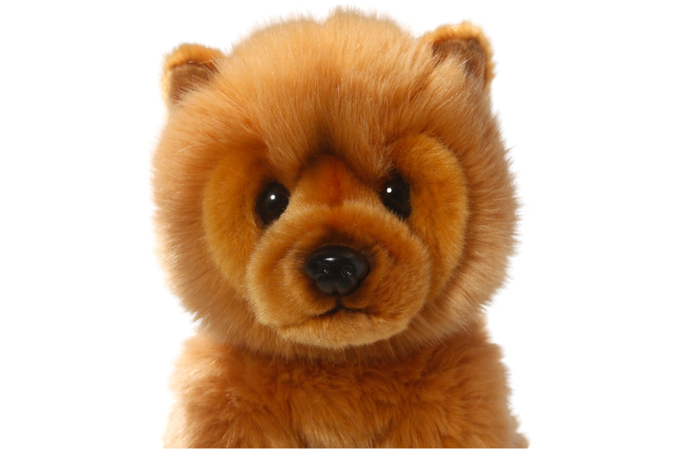 Chow-Chow Carl Dick Plüschtiere – Kuscheltiere – Stofftiere