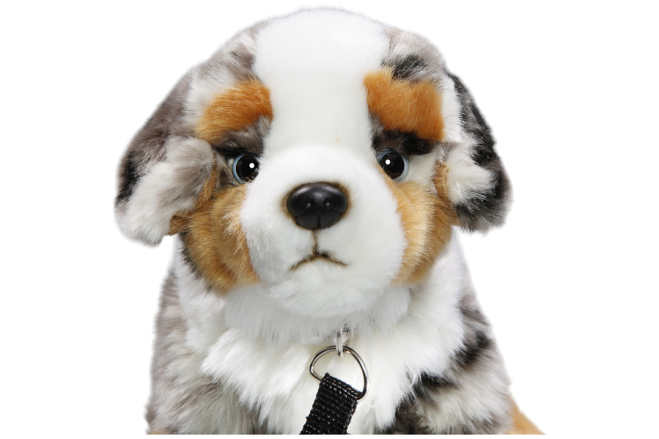 Australian Shepherd Dog sitting with Lead Carl Dick Soft Toy – Plush Toy – Stuffed Animal
