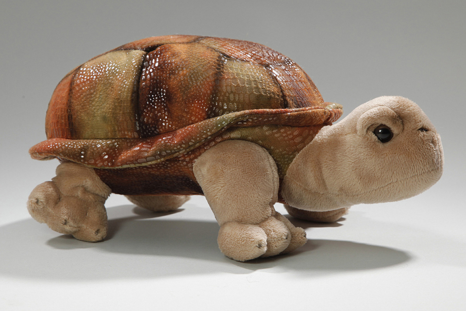 Turtle, Giant tortoise Carl Dick Soft Toy – Plush Toy – Stuffed Animal