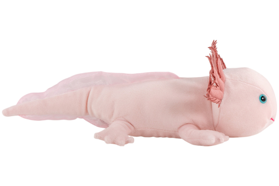 Axolotl Carl Dick Soft Toy – Plush Toy – Stuffed Animal