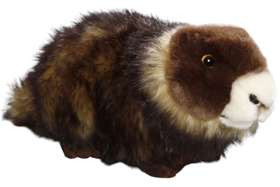 Marmot Carl Dick Soft Toy – Plush Toy – Stuffed Animal