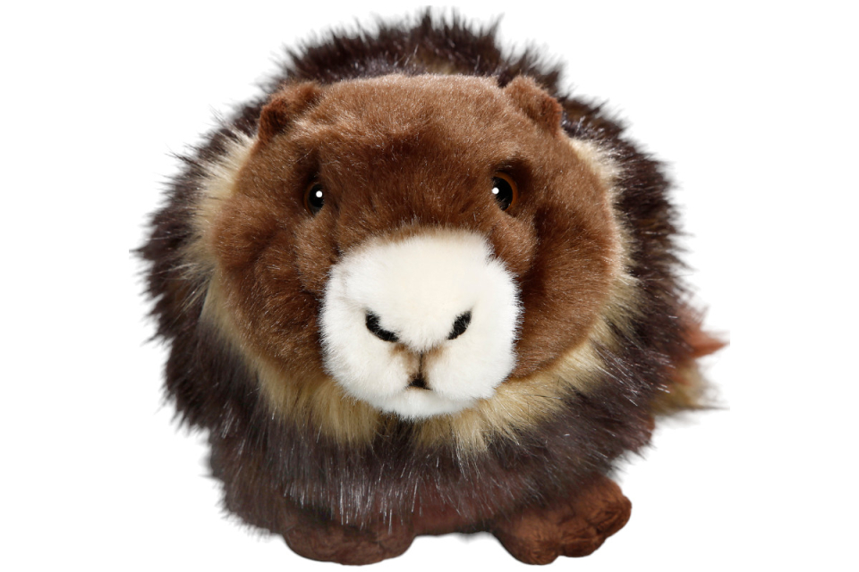 Marmot Carl Dick Soft Toy – Plush Toy – Stuffed Animal