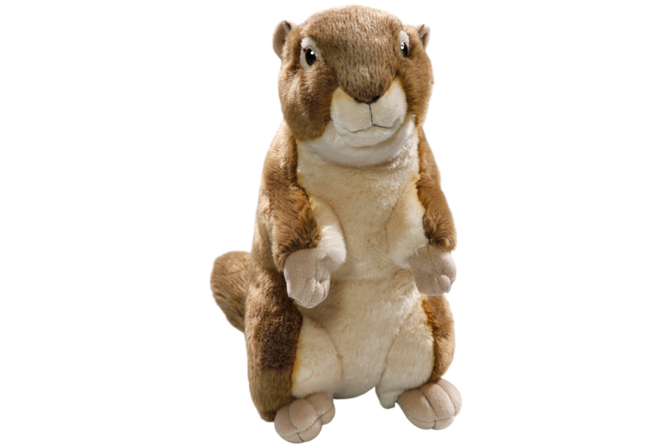 Ziesel gross Carl Dick Plüschtiere – Kuscheltiere – Stofftiere