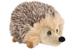 Hedgehog grey