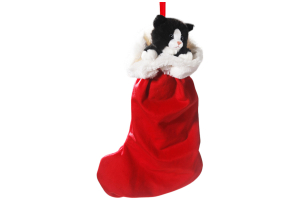Cat in X-Mas Socking
