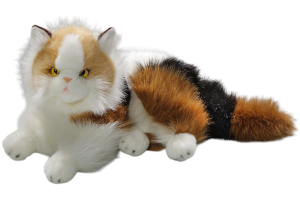 Katze, Perserkatze liegend Calico
