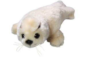 Seal Baby