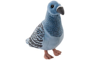 Dove blue