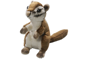 Eichhörnchen, Streifenhörnchen samtweich