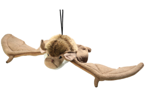 Bat with string