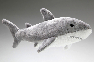 Shark Fish