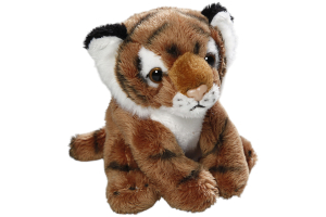 Tiger sitting