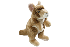Kangaroo Baby